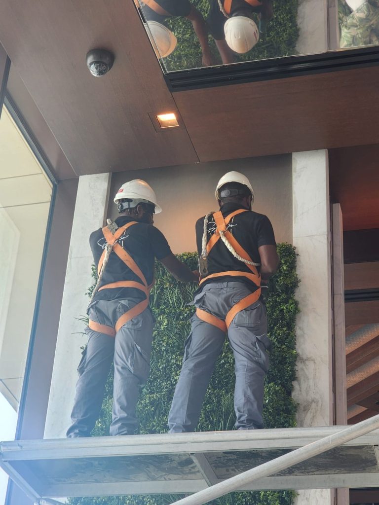 Green wall installation